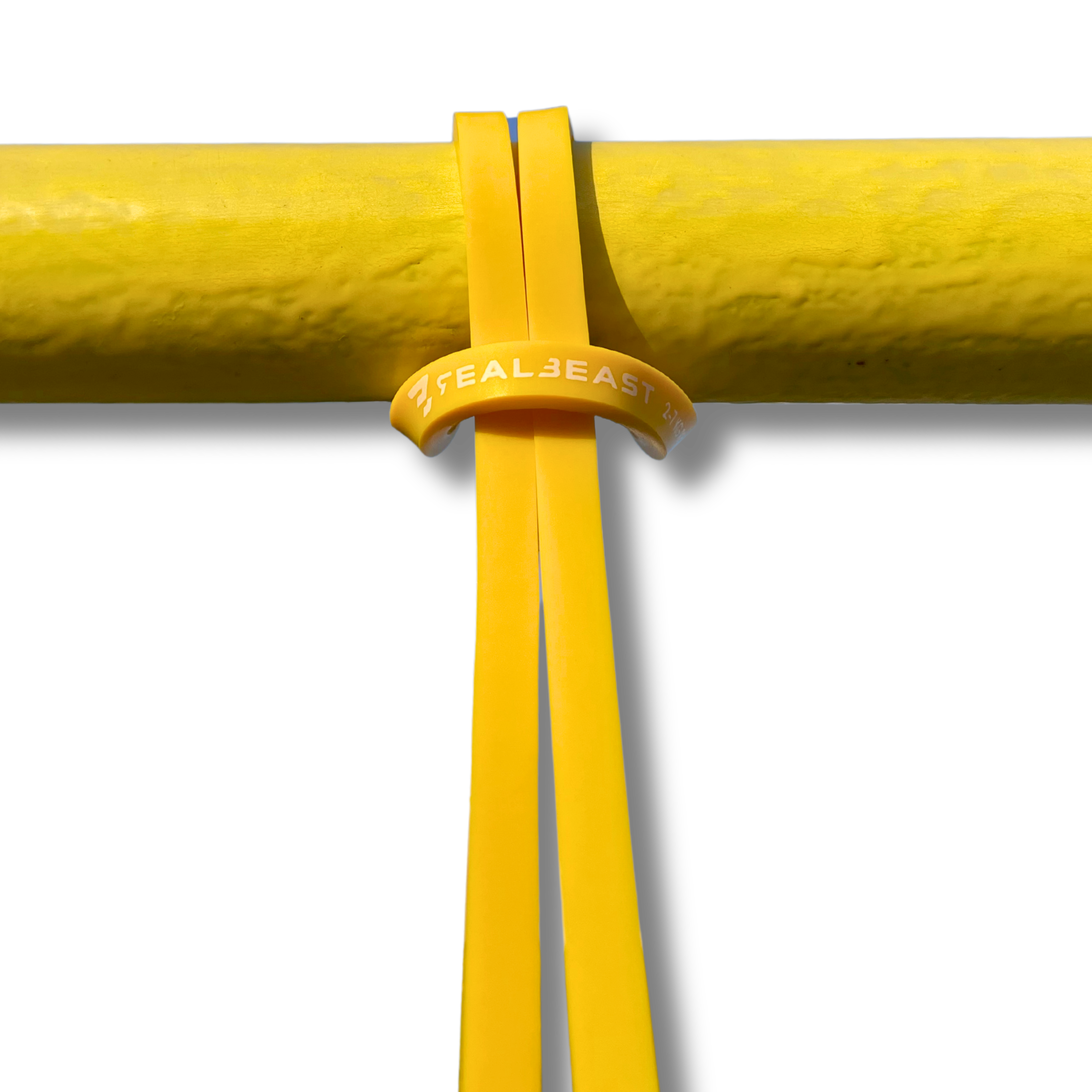 RealBeast - Elastike Za Vadbo