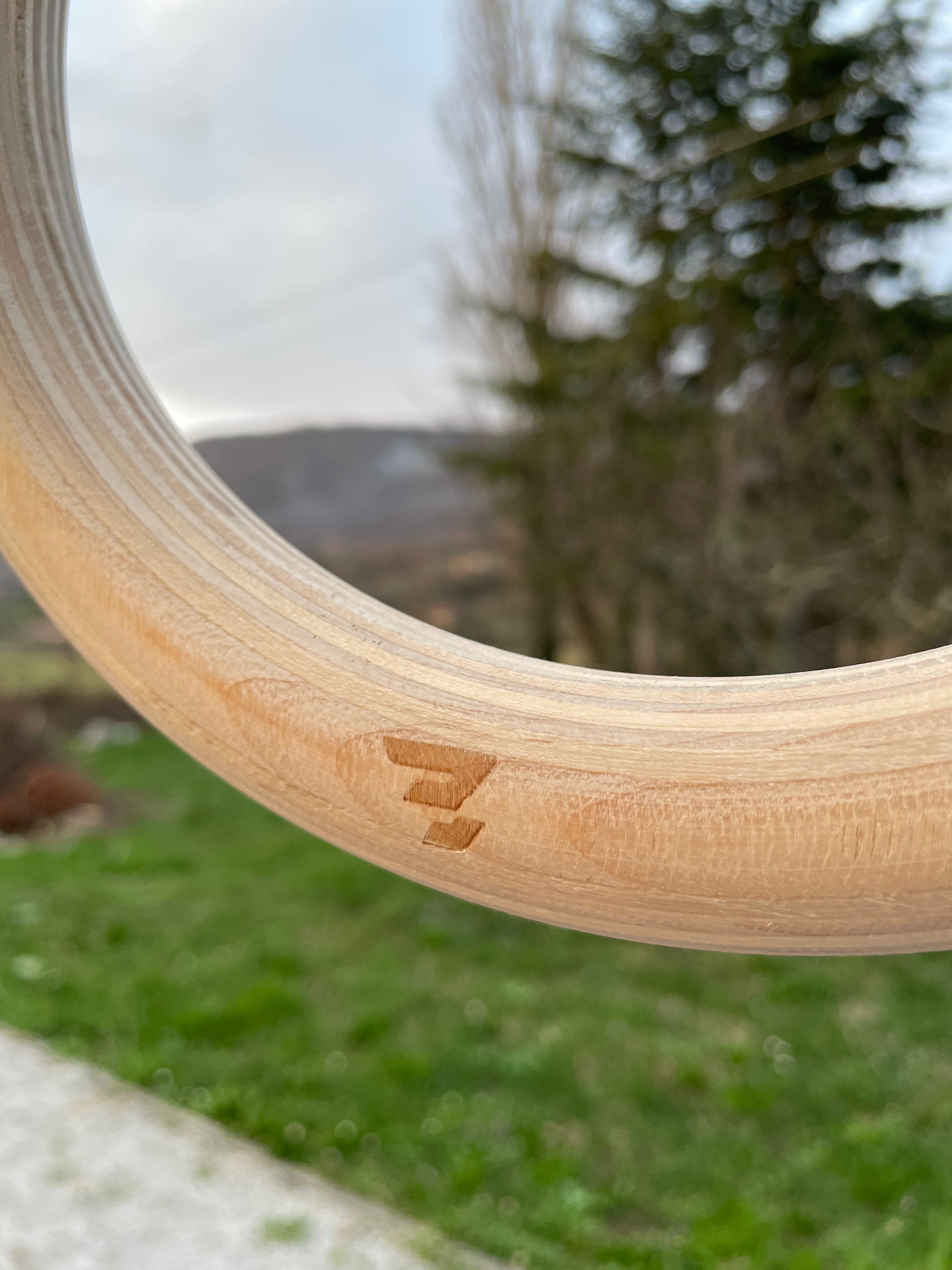 RealBeast - Leseni Gimnastični Krogi