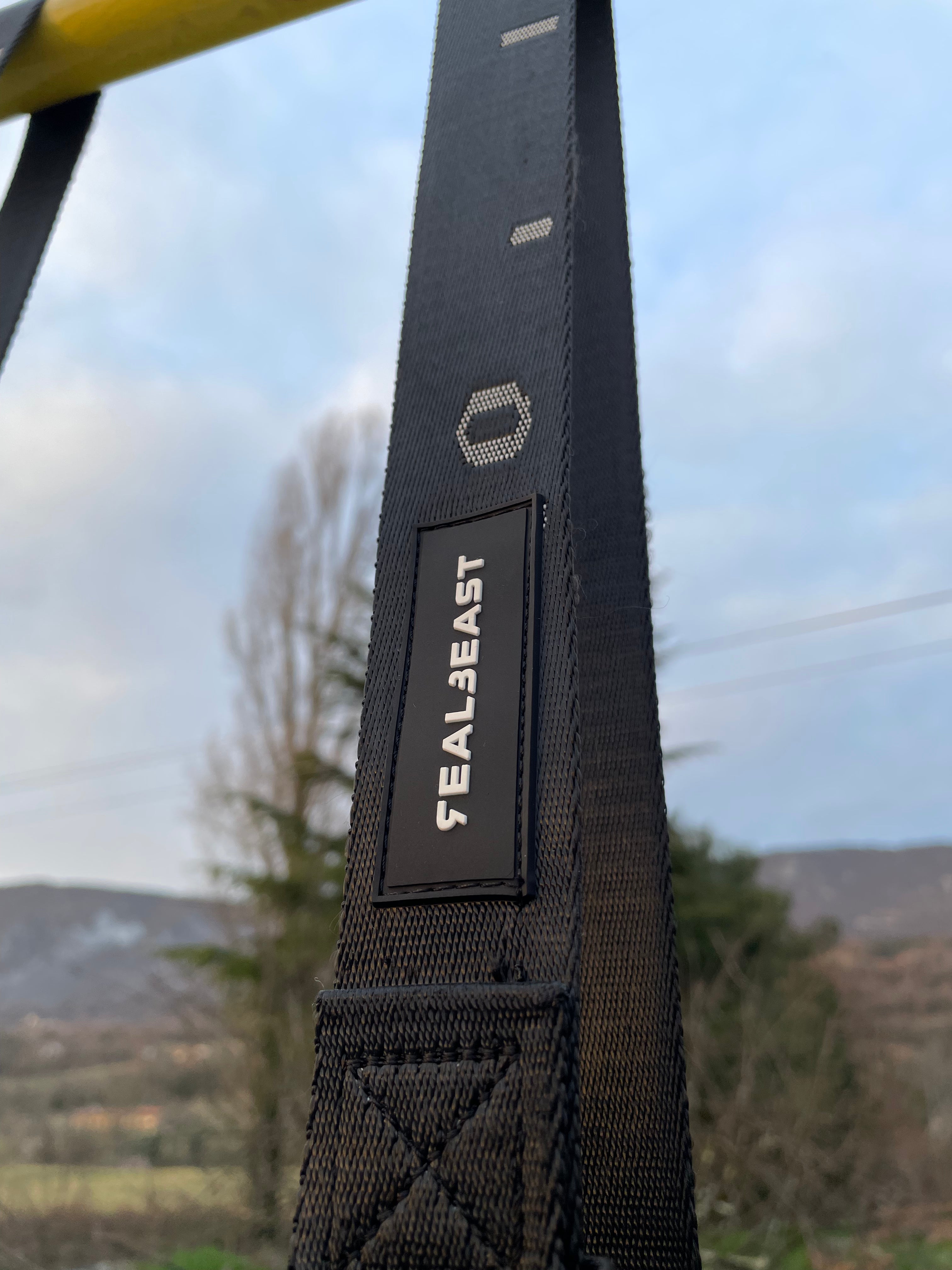 RealBeast - Leseni Gimnastični Krogi