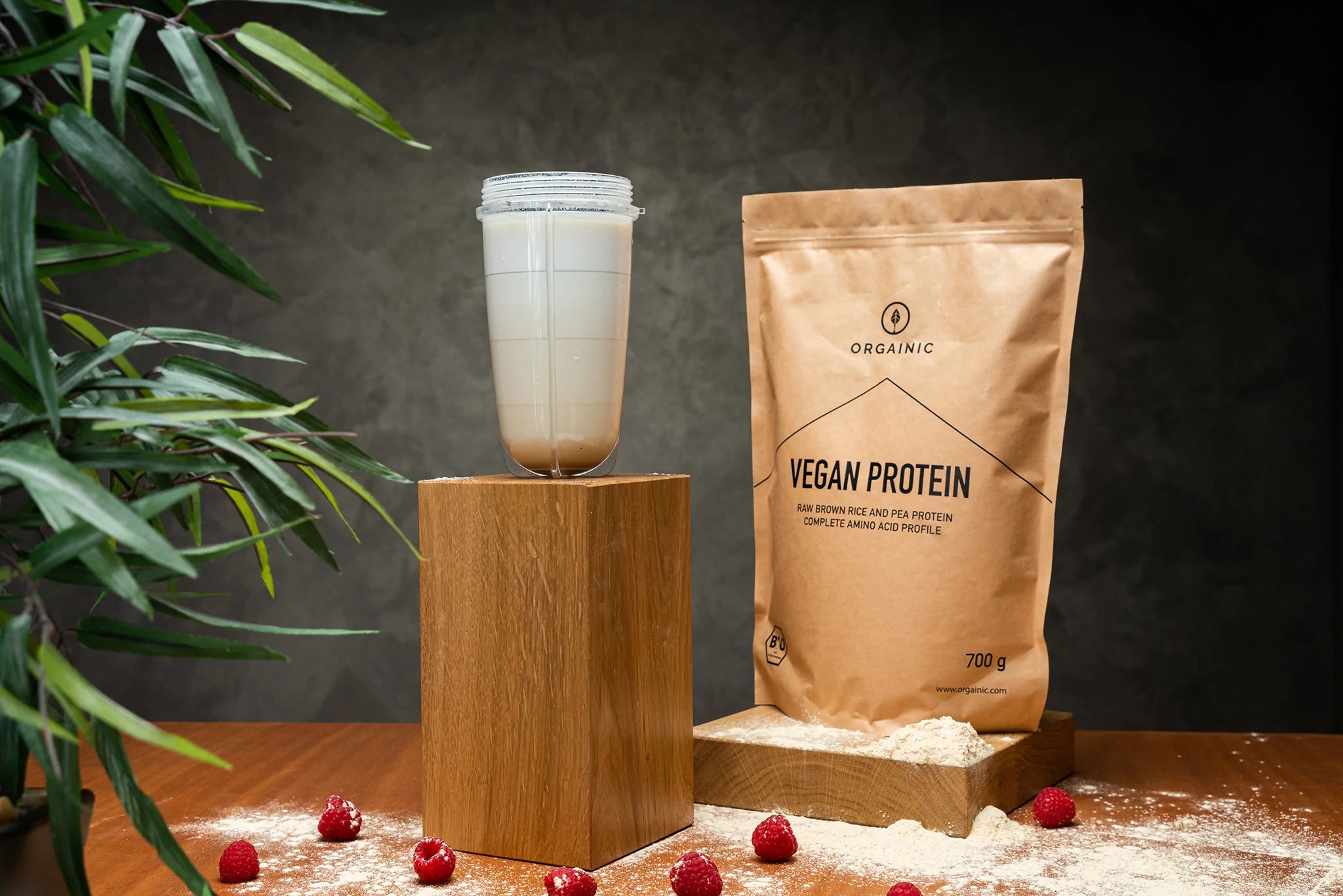 ORGAINIC VEGAN PROTEIN, 700g