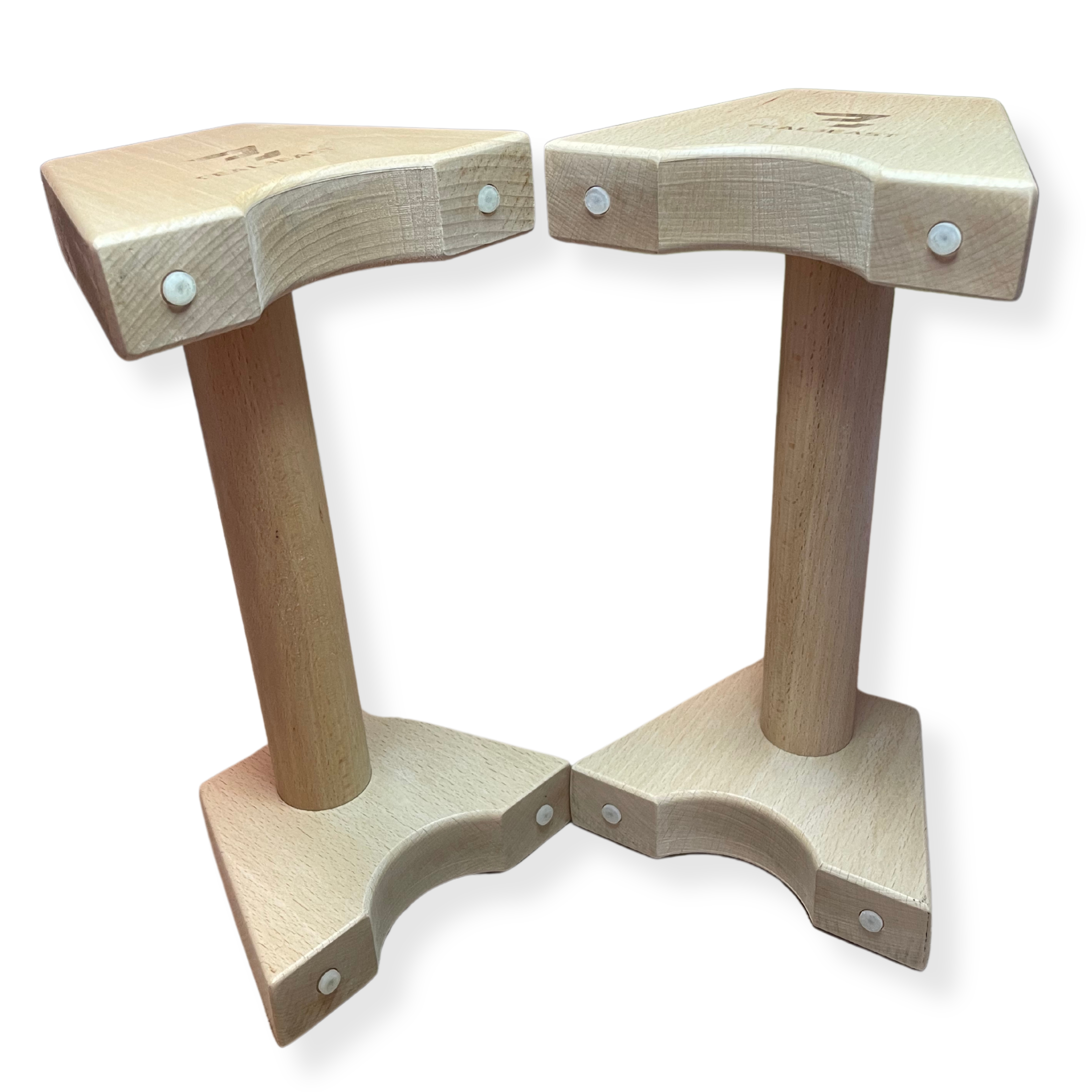 RealBeast Wooden Parallettes